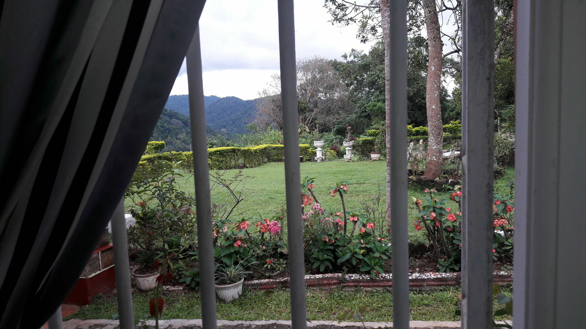 Oyo 441 Kandy Hill Bungalow Exteriör bild